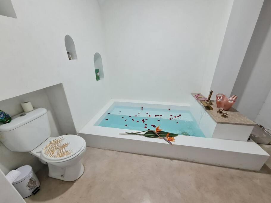 Villa Magnifique Piscine Chauffee *