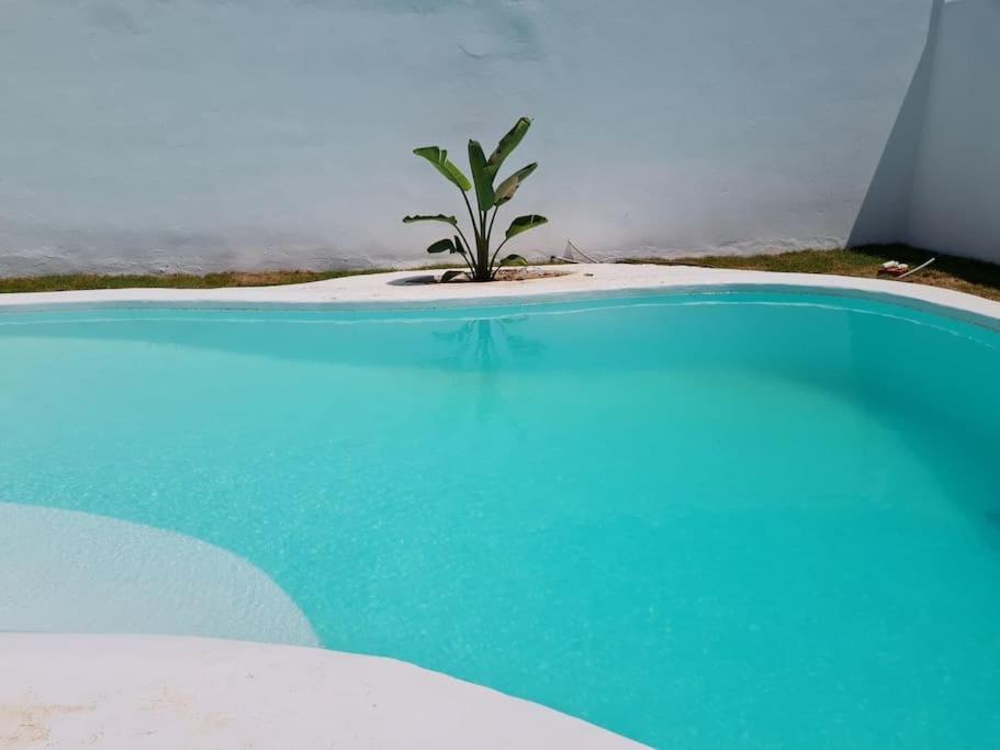 Villa Magnifique Piscine Chauffee Hammamet